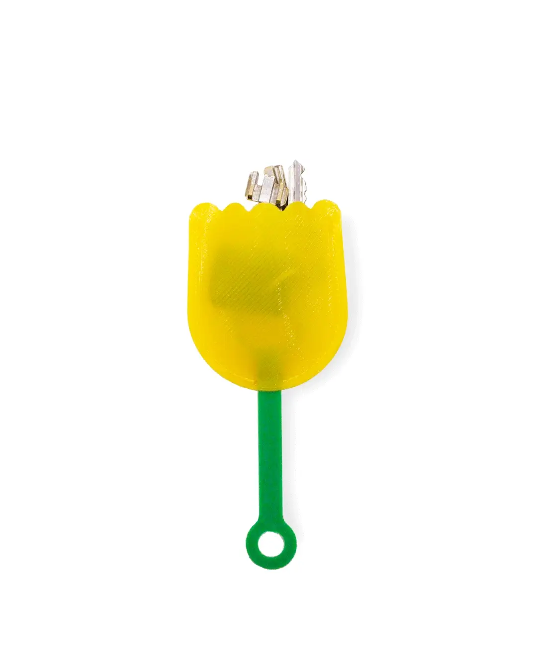 tulipe gif