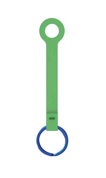 tulipe 2